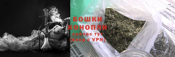 PSILOCYBIN Бугульма