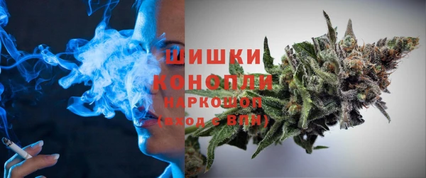 PSILOCYBIN Бугульма